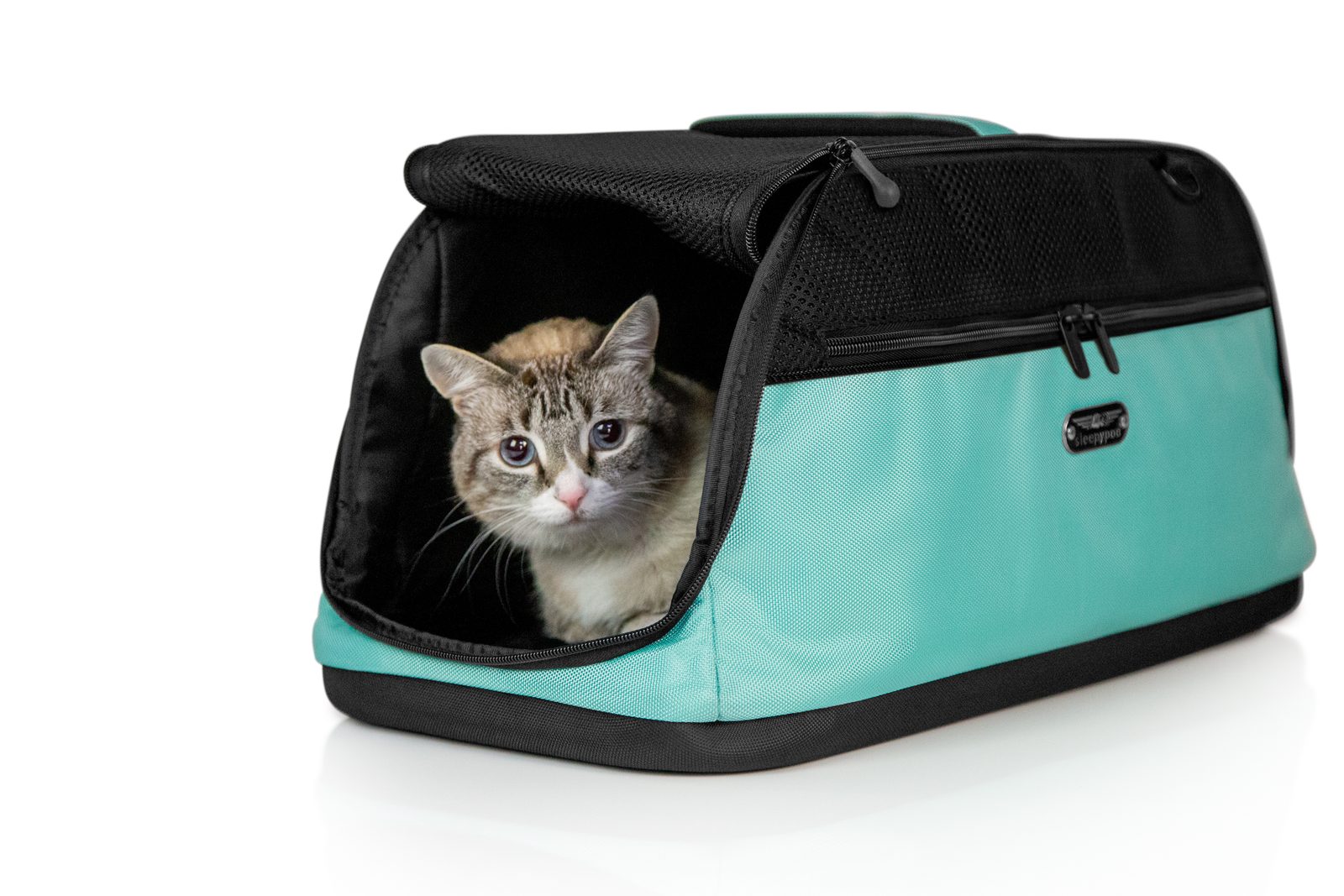 A tabby cat sitting inside a teal Sleepypod Air soft carrier with the mesh flap open