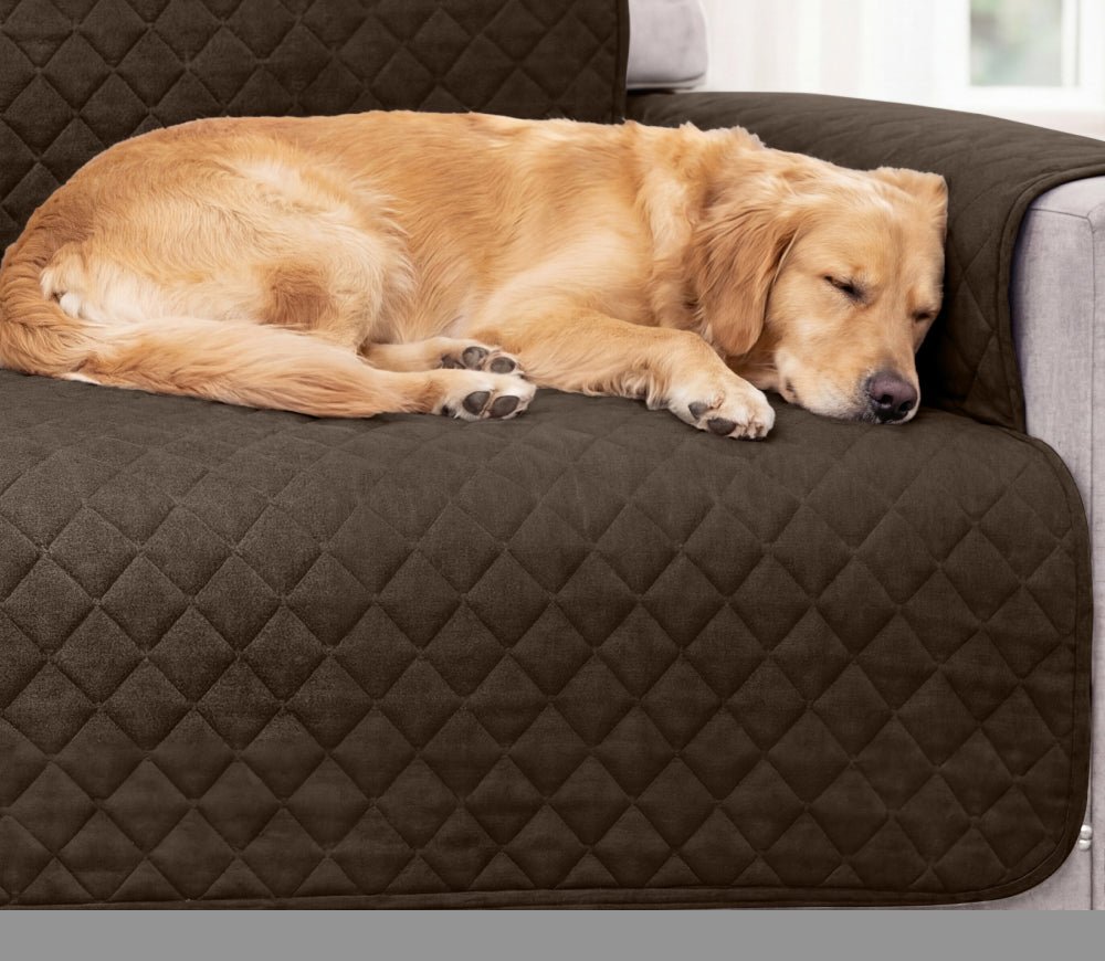 A brown quilted waterproof furniture cover on a sofa with a large dog lying on it