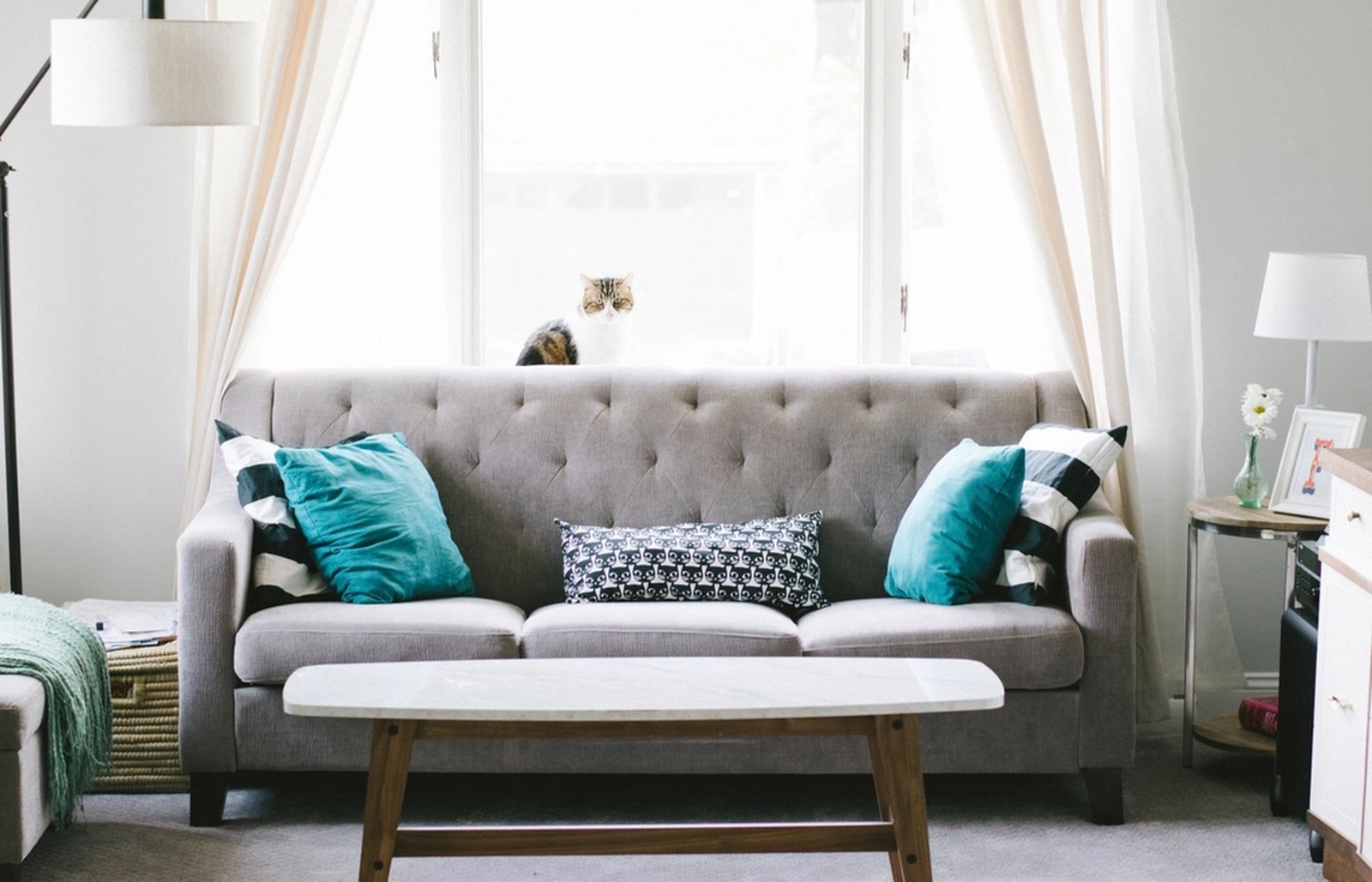 A small apartment living room with a grey sofa and a cat sitting on the windowsill behind it
