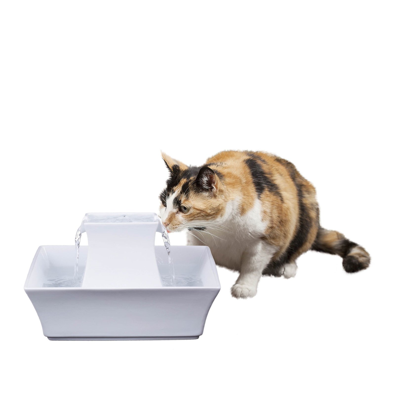 A calico cat drinking from a white ceramic PetSafe Drinkwell Pagoda fountain