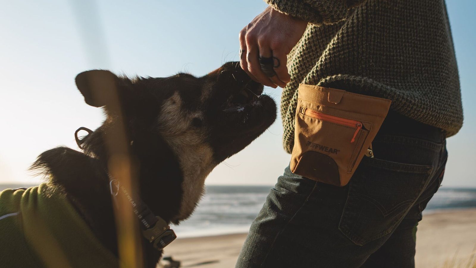 A dog on a beach takes a treat from an owner wearing the Ruffwear Treat Trader pouch clipped at the hip