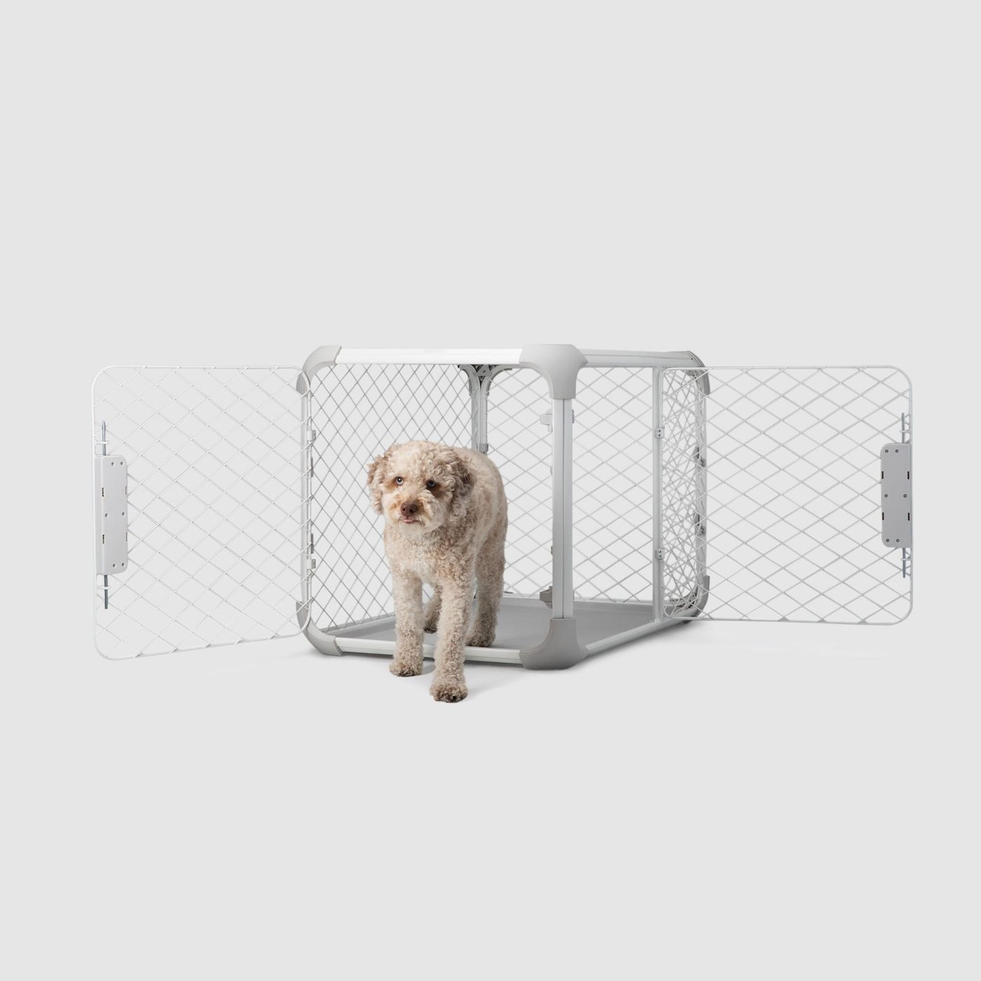 A dog resting inside a white Diggs Evolv crate with the mesh side panels removed