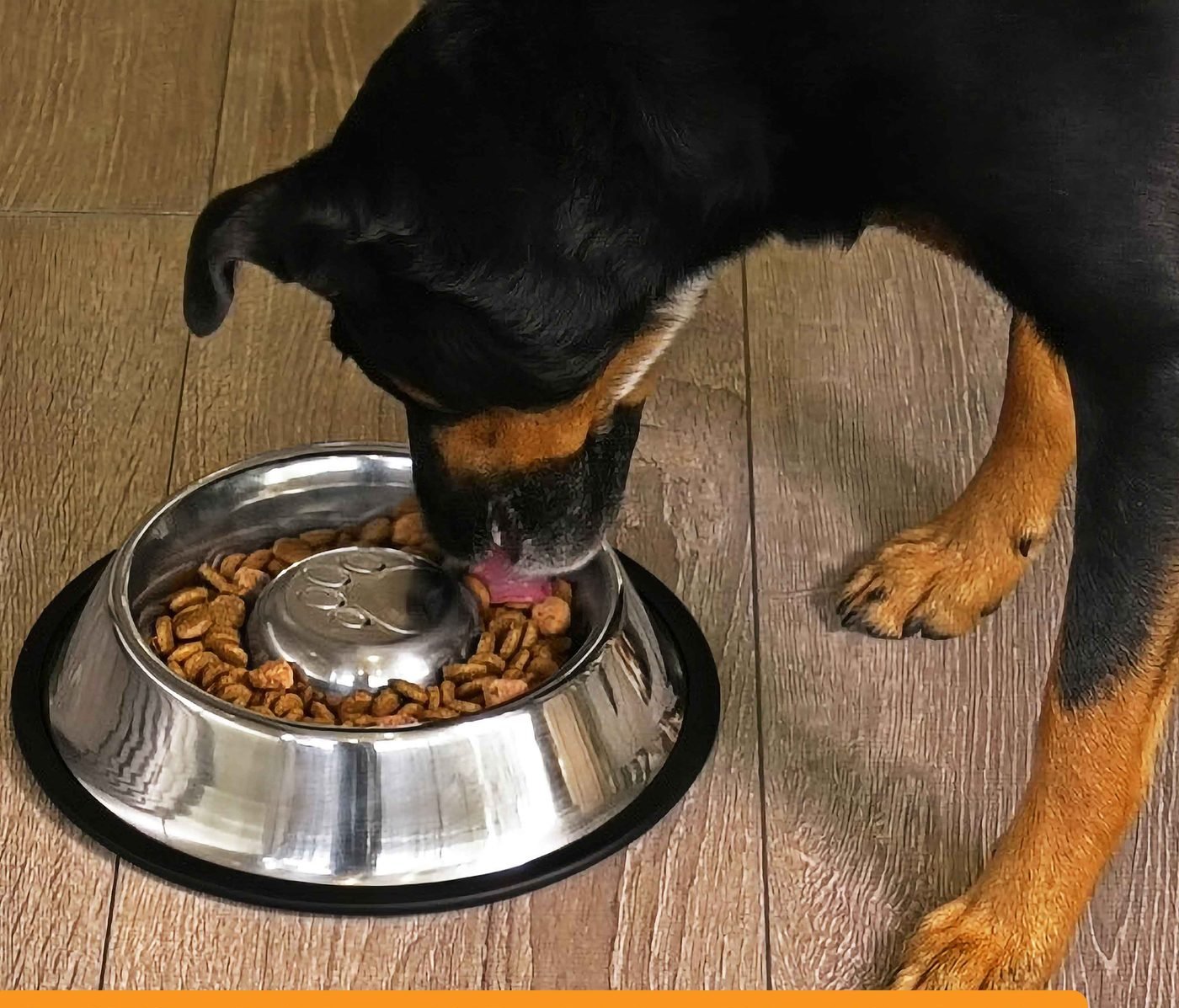A black and tan dog eating kibble from a stainless steel slow-feeder bowl on a wooden floor