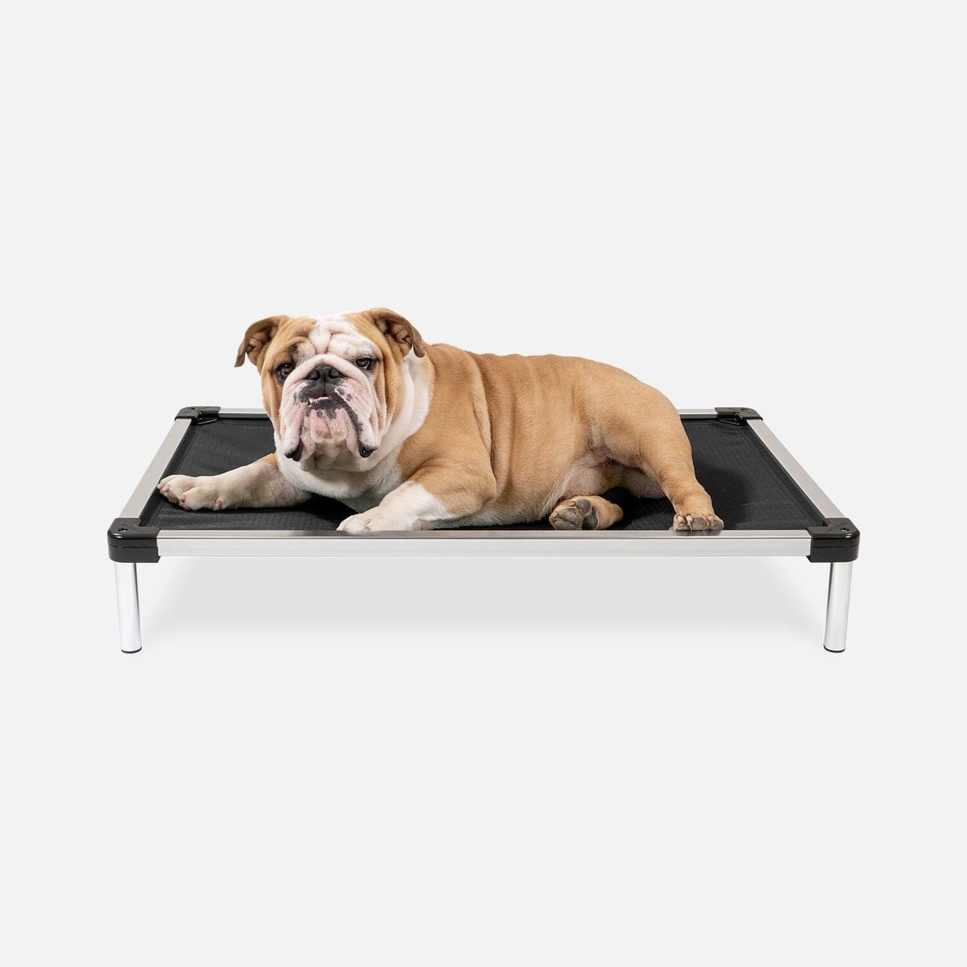 A bulldog lying on a black K9 Ballistics elevated dog bed with an aluminum frame